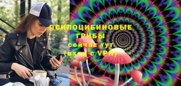 а пвп мука Абаза